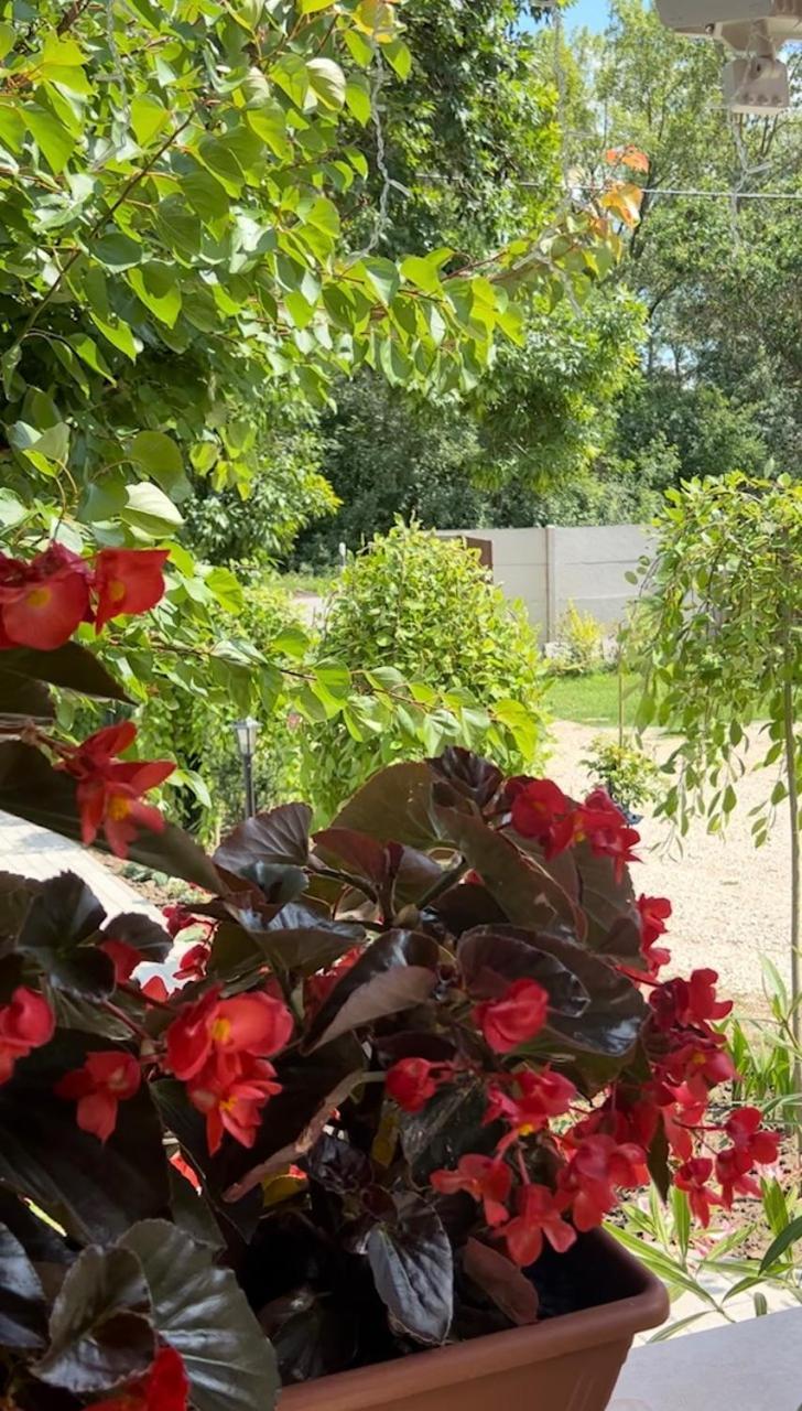 Arany Vendeghaz Villa Szarvas Ngoại thất bức ảnh